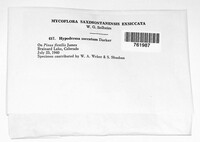 Image Associated With the Occurence